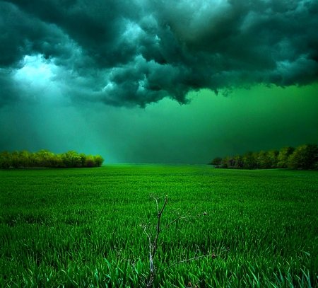 There Came A Wind - clouds, sunrays, trees, beautiful, green, field, dark, sky