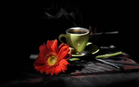 Have a Lovely Day! - coffee, spoon, photography, gerbera, cup