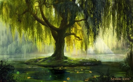 The Willow Bath - abstract, art, willow, tree