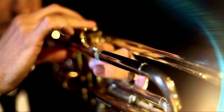 Trumpeter - man, photography, music, instrument, trumpet