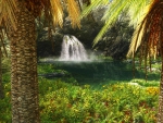 Tropical Waterfall