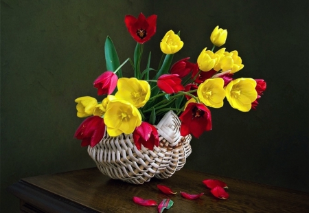 Tulips - tulip, yellow, flower, red