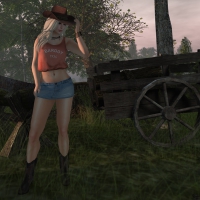 Cowgirl Fantasy