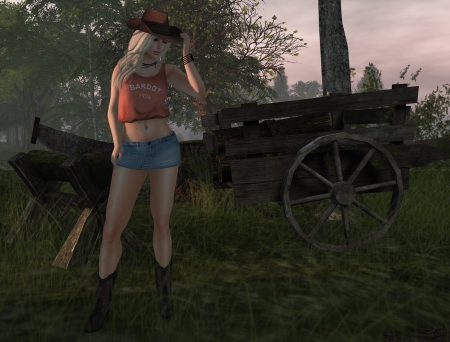 Cowgirl Fantasy - hat, cowgirl, fantasy, boots