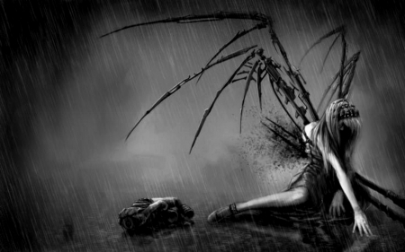 Rain - winged, fallen, broken, lost