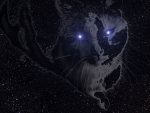 Celestial cat