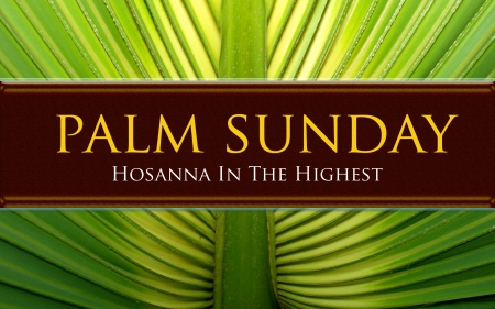 Palm Sunday - easter, sunday, palm, palm sunday