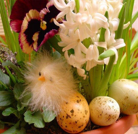 Decorating for Easter - pot, eggs, decoration, chick, spring, easter, flowers, garden, plants, flapper