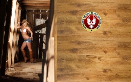 Back In The Barn - women, fun, girls, walls, models, female, cutoffs, hats, cowgirls, western, nra, support, barns, style, fashion, boots, blondes, ranch, weapons, guns