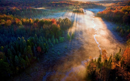 Forest - autumn - autumn, forest, the rays of the sun, river