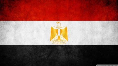 flag of egypt - bird, egypt, flag, stripes