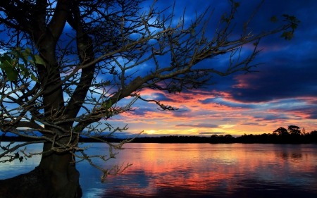 Lake - sunset - lake, tree, sunset, forest