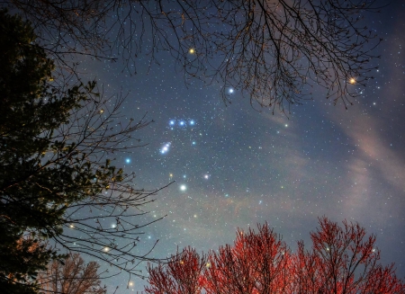 Orion - space, fun, Orion, stars, cool