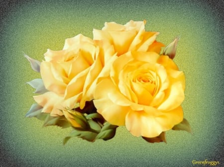 THREE YELLOW ROSES - three, yellow, creation, roses