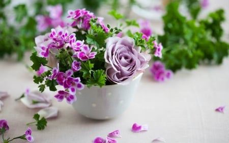 Beautiful Flowers - pot, flower, petals, purple