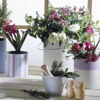 Flowers in the kitchen