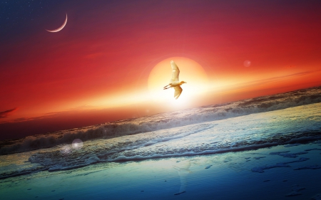 Sun-Moon - moon, passion, sky, sun, night, paradie, sunset, calm, nature, care