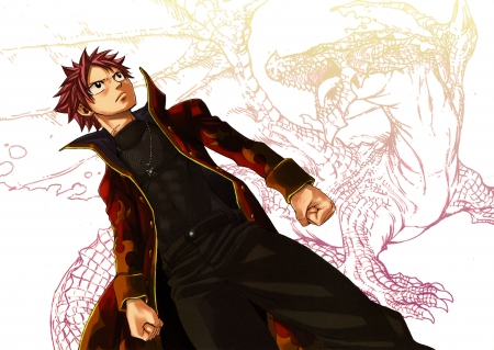 Natsu Dragneel - anime, fairy tail, boy, manga