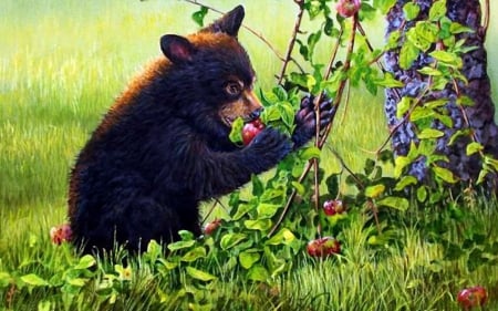 cute apple thief - apple, tree, cub, bear