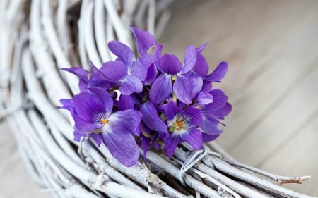 Flower in White Wreaths - flowers, wreaths, violet, bloom