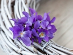 Flower in White Wreaths