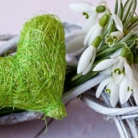 Snowdrops and Green Heart