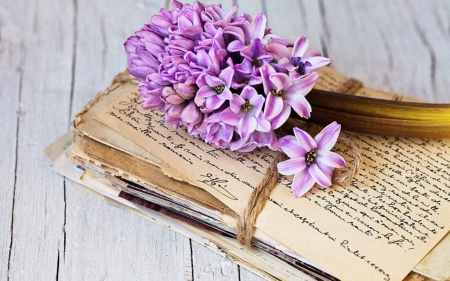 Purple Hyacinths - hyacinths, letters, purple, flowers