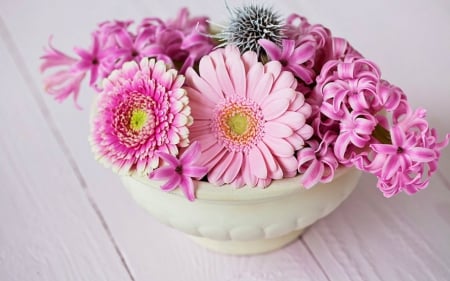 Pink Hyacinths and Gerberas - hyacinths, gerbera, pink, bowl, flowers