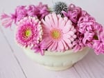 Pink Hyacinths and Gerberas