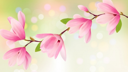 Tulip Tree - bokeh, pink, delicate, pastel, linodendron, tree, flowers, spring