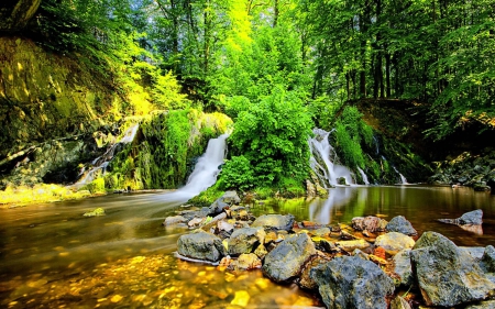 Forest Waterfall - nature, forest, waterfall, rocks