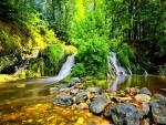 Forest Waterfall