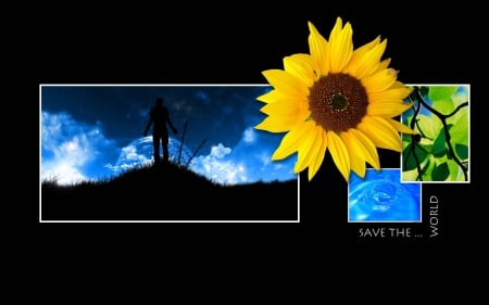 save the world - sunflower, sky, man, water, leaf