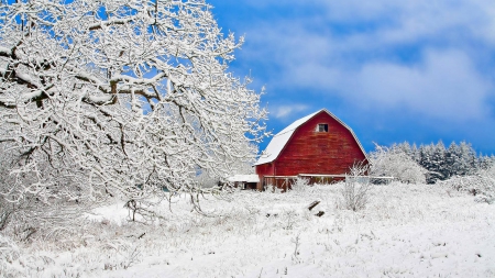 red barn - nature, fun, cool, winter, field