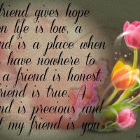 A FRIEND
