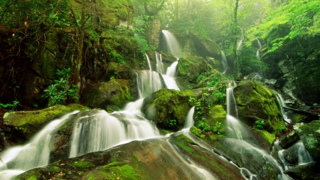 Forest waterfall - calm, greenery, pretty, trees, cascades, beautiful, forest, lovely, waterfall, green, serenity