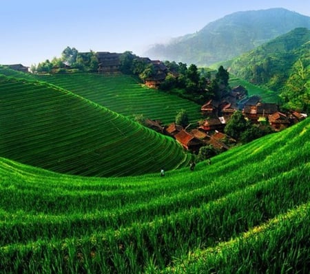 a hidden village - nature, beautiful, green, photography, landscape, villages