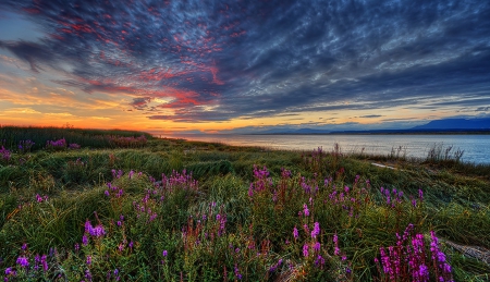 Clouds - river, clouds, sunset, wild flowers