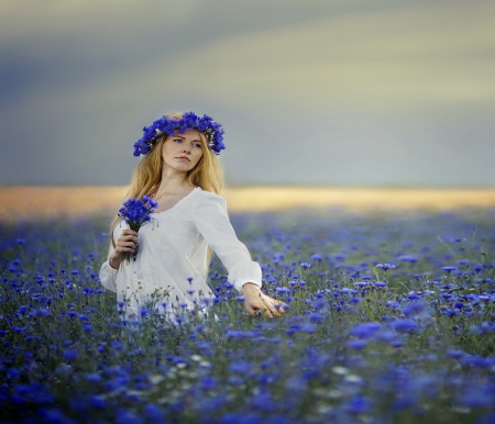 Beauty of a Field - female, lady, woman, sensual, splendor, girl, beauty, field of flowers