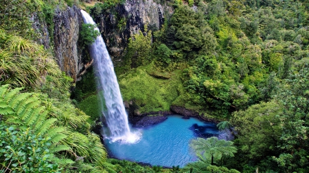 Waterfall - forests, waterfalls, trees, nature, rocks