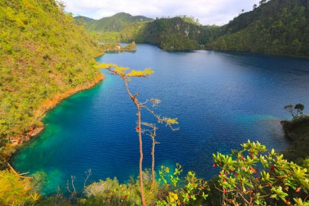 Lake view - calm, trees, blue, beautiful, tranquil, spring, shore, nature, view, serenity, lake