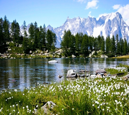 Nature - lake, mountains, flowers, trees, nature