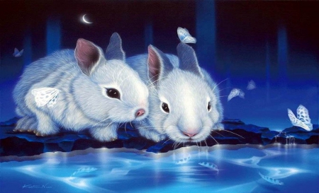 Sweet Bunnies - white, rabbits, animals, bunnies, beautiful, water, cute, butterflies