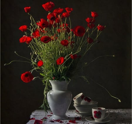 Still Life - flowers, vase, red, still life