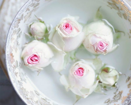 Beautiful Flowers - roses, flowers, floating, bowl