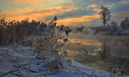 Sunset - snow, trees, winter, sunset