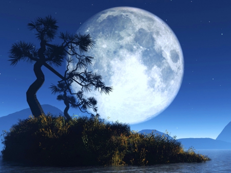 Rising - moon, night, blue, tree