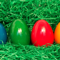 Colourful Easter Eggs