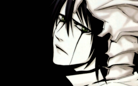 Ulquiorra Cifer - anime, spiritual, bleach, manga