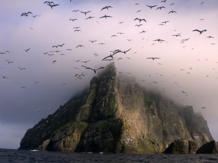 The Island. - cloud, rock, island, birds